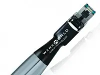 Wireworld Starlight Platinum Category-8 Ethernet Cable Post Thumbnail