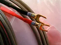 Darwin Ascension Plus Interconnects and Ascension Speaker Cables Post Thumbnail